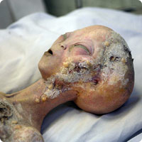 http://x51.org/x/images2005/roswell1.jpg